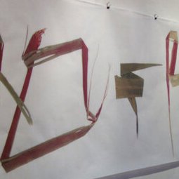 Signes singuliers