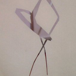 070 - D