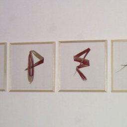 030 - Signes singuliers peints - 4X 30X30cm2004