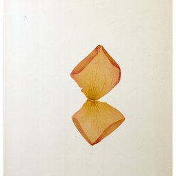 Herbier