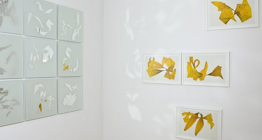 Miroirs grav