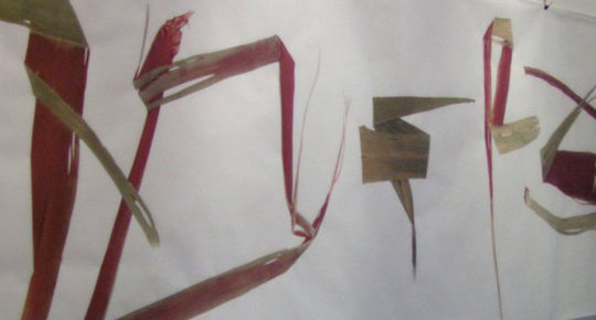 Signes singuliers