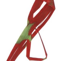 090 - Signe singulier peint