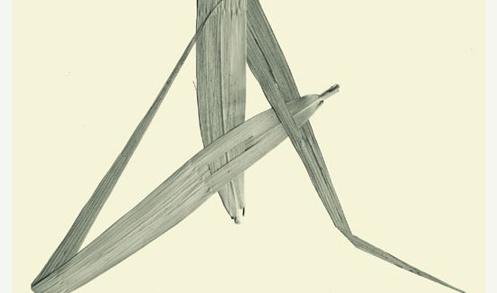 Estampes