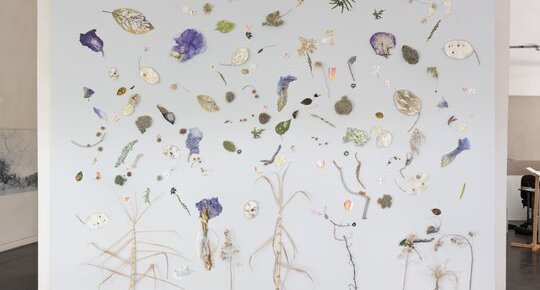 Dessins Sans titres 70X100cm