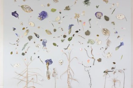 Exposition : secrète nature