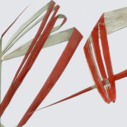 050 - Signes singuliers peints