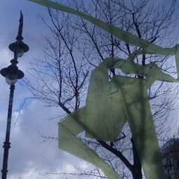Signe singulier - d
