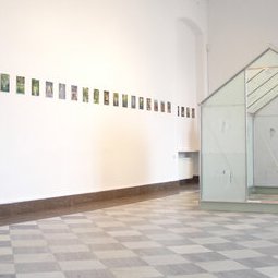 Culture jardini
