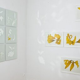Miroirs grav